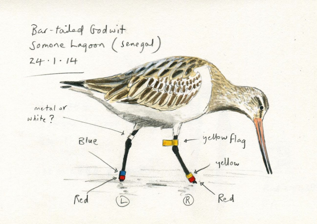 BARG NIOZ_Figure3