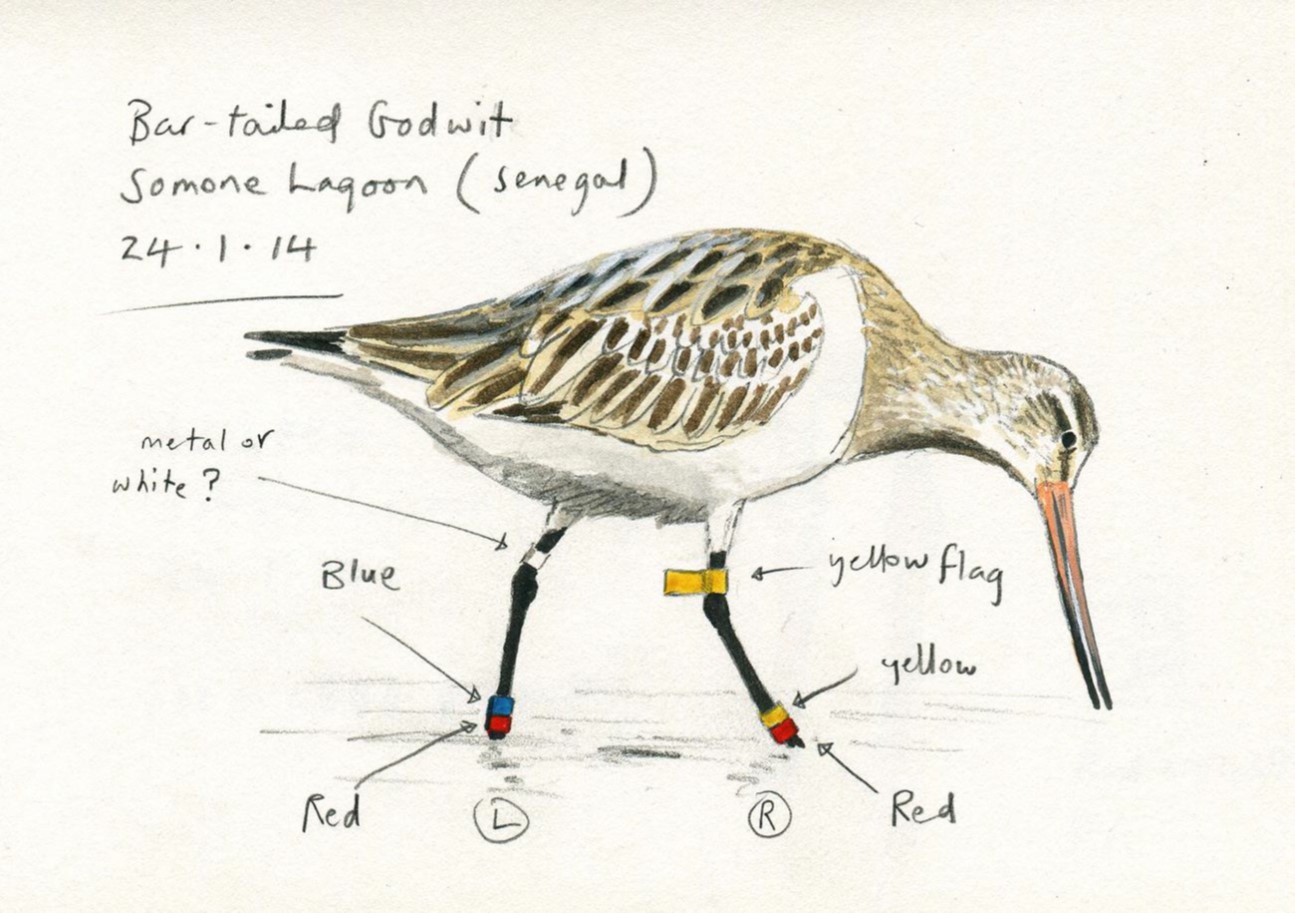 BARG NIOZ_Figure3