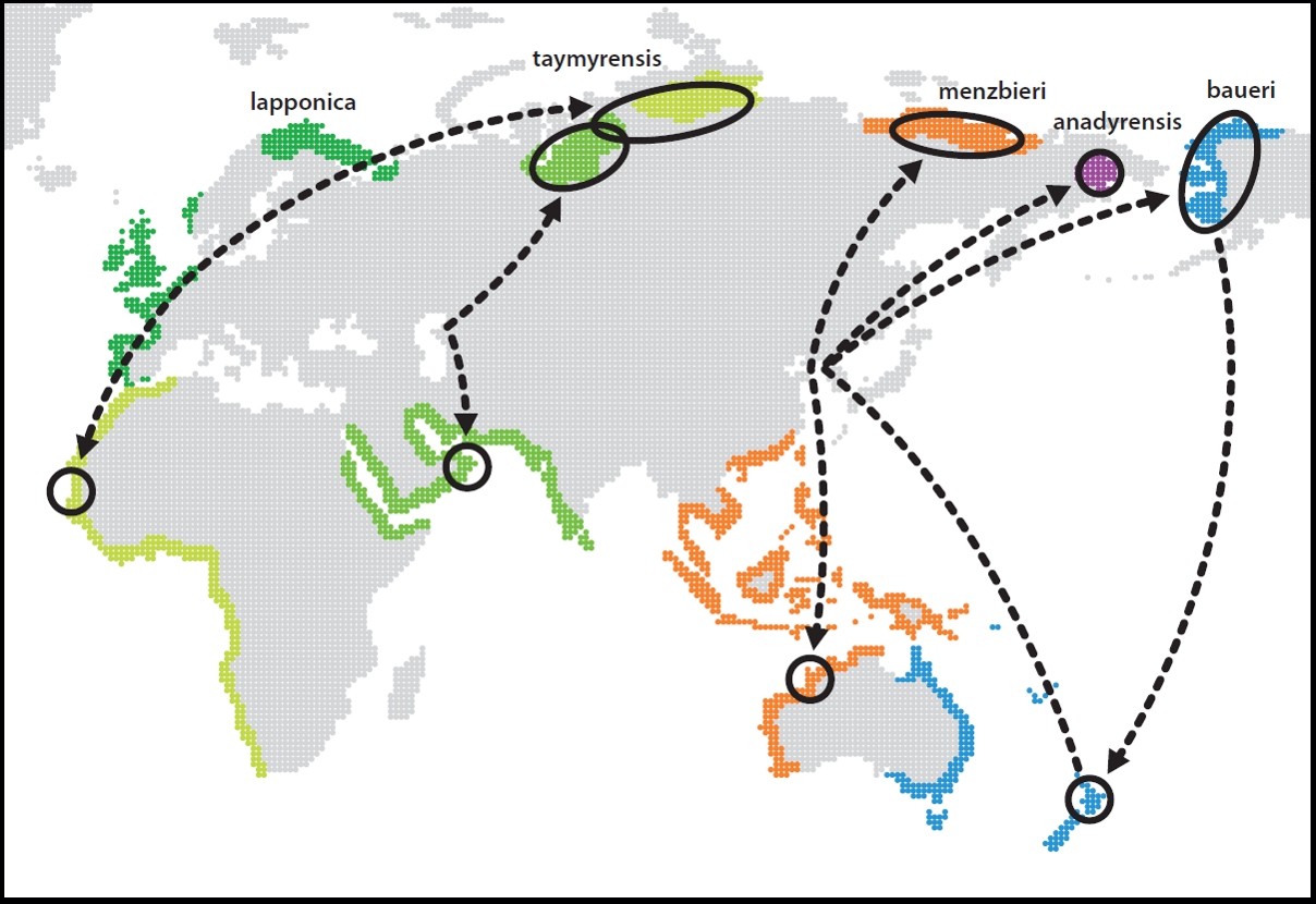 barwits migration2