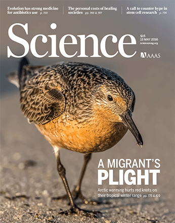 Cover Science Plight of the Migrant 2016