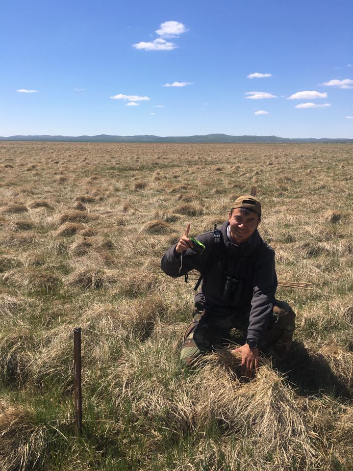 Drew Binru in Mongolia