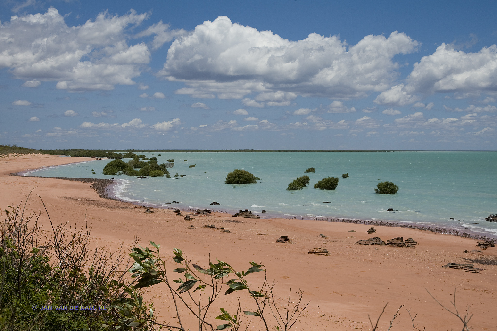 Waders Roebuck Bay, Broome, W.Australia