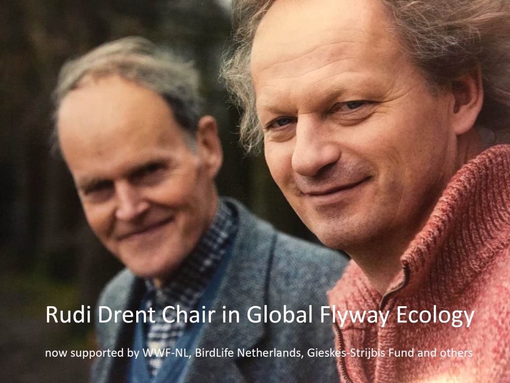 Rudi Drent Chair in Flyway Ecology Rudi Drent Chair in Flyway Ecology