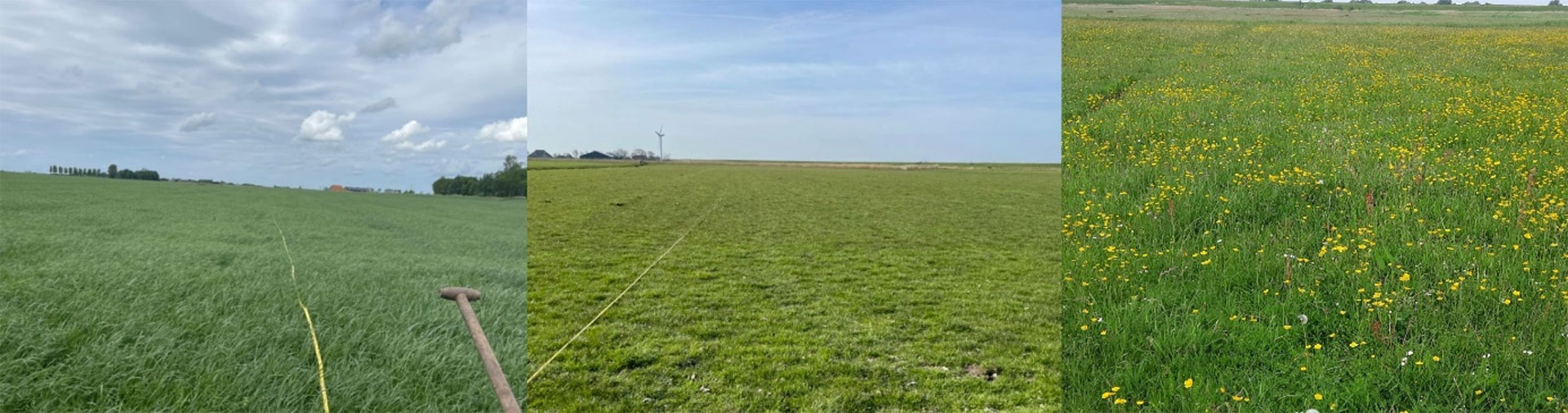 Field frequently used for arable cropping (left), intermittent crop rotation (center), and a long-term grassland (right)
